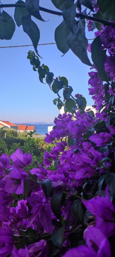 Garden Апартаменты *